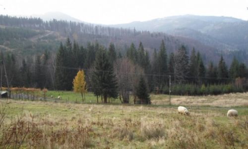 Zdjecie POLSKA / Beskid lski / Wisa / Na ce