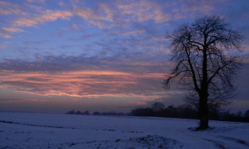 Zdj�cie POLSKA / spytkowice / spytkowice -12 / Mro�ny zach�d S�o�ca 