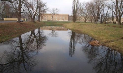 Zdjęcie POLSKA / WIELKOPOLSKA / RYDZYNA / PIĘKNO WIELKOPOLSKI