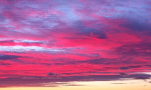 Zdjęcie POLSKA / Śląsk / Sośnicowice / Wschód słońca nad Śląskiem - 1