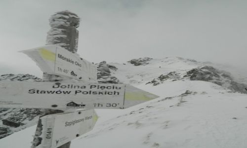 Zdjecie POLSKA / tatry wysokie / w drodze na szpiglasowy wierch / widok na szpiglasowy wierch