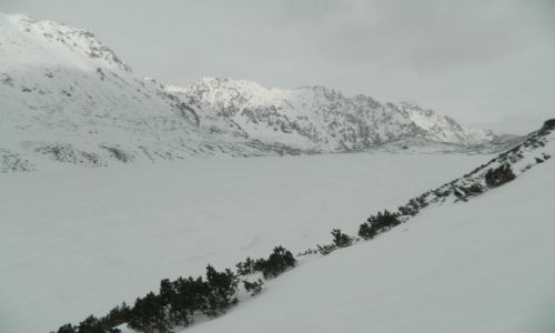 Zdjęcie POLSKA / tatry wysokie / w drodze na szpiglasowy wierch / widok na dolinę 5 stawów