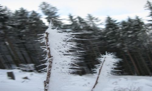 Zdjcie POLSKA / Beskid lski / Rwnica / Lodowe igy