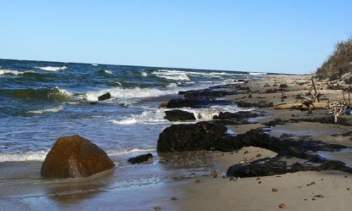 Zdjęcie POLSKA / Pomorze Środkowe / Rowy / na plaży