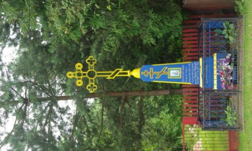 Zdjcie POLSKA / Podlasie / Narew / przydrony krzy