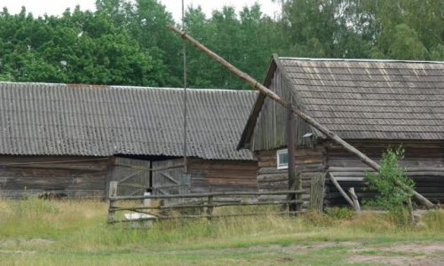 Zdjecie POLSKA / Podlasie / Narew / zagroda w Narwi