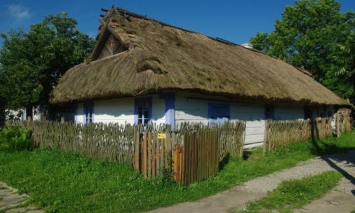 Zdjecie POLSKA / Podlasie / Nowoberezowo / skansen-zagroda-ferma strusi w Nowoberezowie