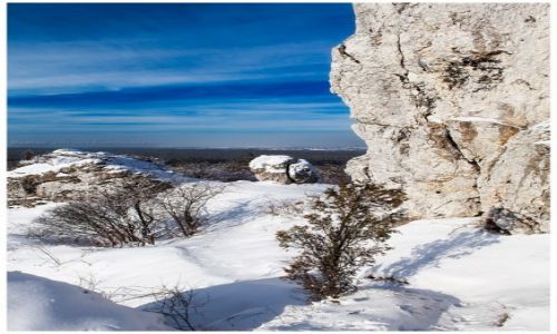 Zdjcie POLSKA / Jura Krakowsko-Czstochowska / Rzdkowice / Krajobraz