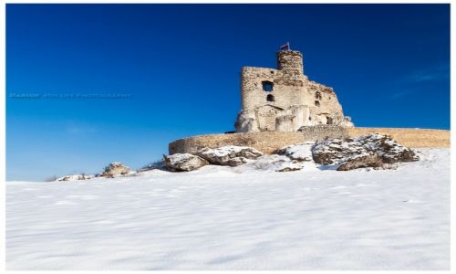 Zdjcie POLSKA / Jura Krakowsko-Czstochowska / Mirw / Mirw Castle III