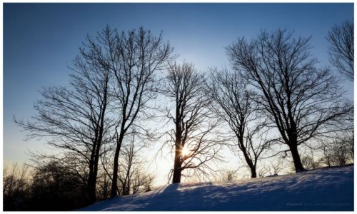 Zdjcie POLSKA / Jura Krakowsko-Czstochowska / Bobolice / Winter Sun