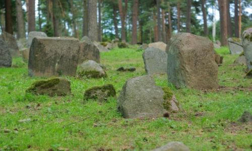 Zdjcie POLSKA / Podlasie / Kruszyniany / Mizar w Kruszynianach