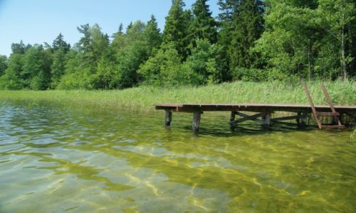 Zdjecie POLSKA / Podlasie / Puszcz Augustowska / Jezioro Busznica