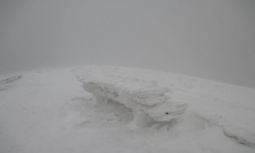 Zdjcie POLSKA / Bieszczady / Poonina Caryska / Lodowa awka