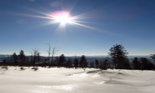 Zdjcie POLSKA / Beskid lski / Stow / Soca blask