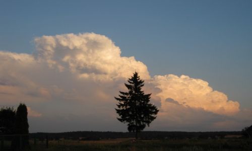 Zdjcie POLSKA / Podlasie / Bohoniki / ...