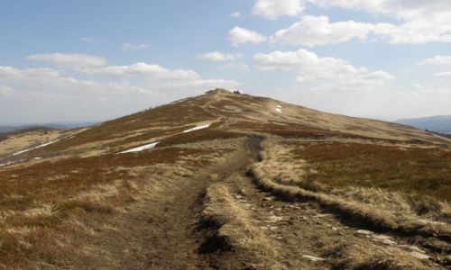 Zdjcie POLSKA / BIESZCZADY / POONINA  WETLINSKA / POLONINA WETLINSKA