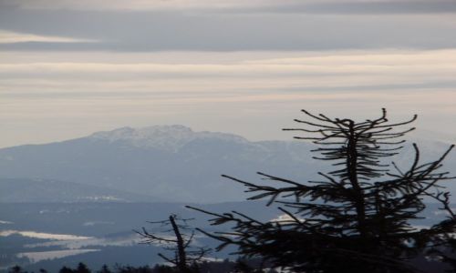Zdjcie POLSKA / Beskid ywiecki / Obaz  / Wielki Rozsutec z Obaza