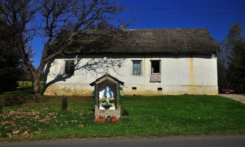 Zdjęcie POLSKA / Beskid Niski / Beskid Niski / Domek i kapliczka
