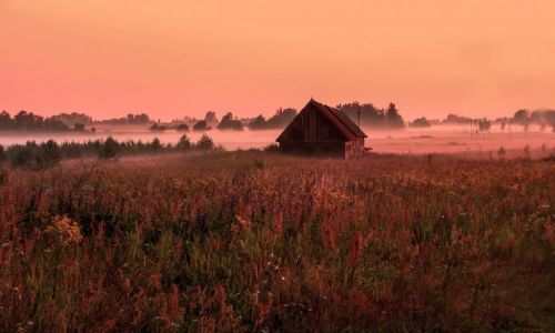 Zdjecie POLSKA / Warmisko-Mazurskie / Puszcza Borecka / Dom nad kami