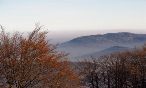 Zdjecie POLSKA / Beskid lski / ok. Magury / Jesienne barwy