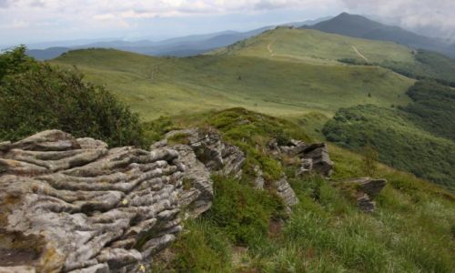 Zdjęcie POLSKA / Bieszczady / Połonina Wetlińska / Hej połoniny...