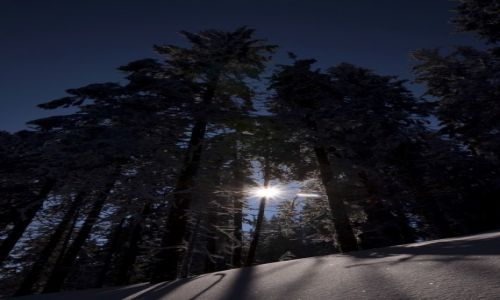Zdjcie POLSKA / Tatry Zachodnie / Okolice Grzesia / Przewity
