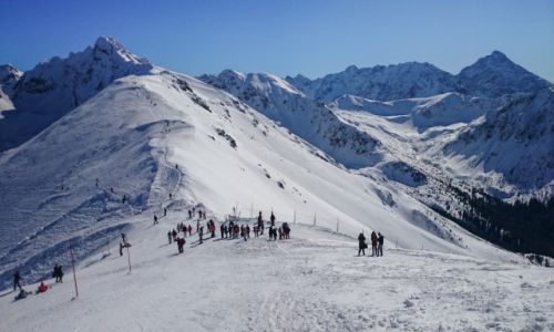 Zdjecie POLSKA / Tatry / Kasprowy Wierch  / Sucha Przecz