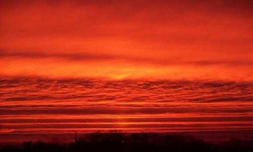 Zdjęcie POLSKA / Śląsk / Sośnicowice / Wschód słońca nad Śląskiem - 3