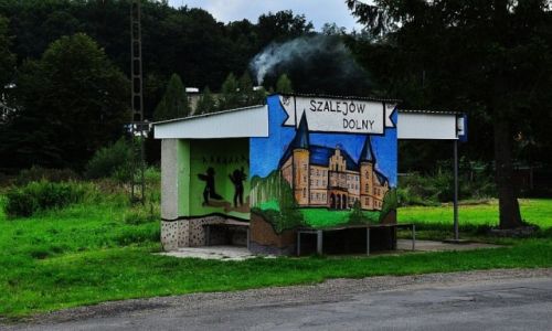 Zdjecie POLSKA / Dolny lsk / Szalejw Dolny / Szalej, szalej i miej si miej....