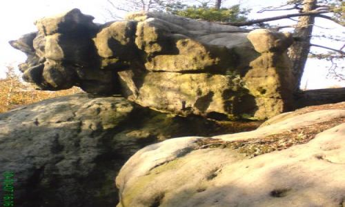 Zdjęcie POLSKA / ZIEMIA KŁODZKA / SZCELINIEC WLK. / SKAŁKI