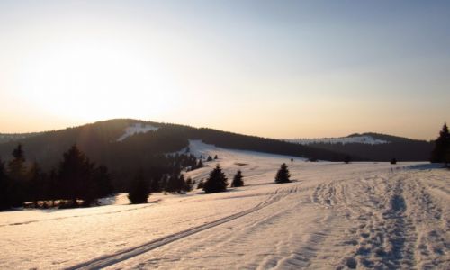 Zdjęcie POLSKA / Gorce / Hala Wzorowa / Turbacz