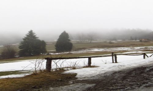 Zdjęcie POLSKA / Gorce / ok. Starych Wierchów / Pod Starymi Wierchami