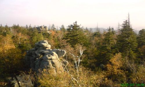 Zdjęcie POLSKA / ZIEMIA KŁODZKA / SZCELINIEC WLK. / Z NAWYŻSZEGO PUNKTU