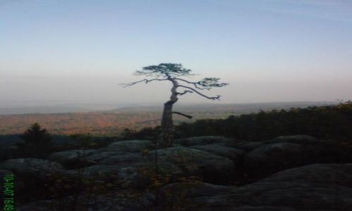 Zdjęcie POLSKA / ZIEMIA KŁODZKA / SZCELINIEC WLK. / SZCZELINIEC