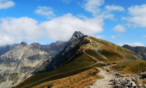 Zdjecie POLSKA / Tatry Wysokie / Zakopane / W drodze na winic