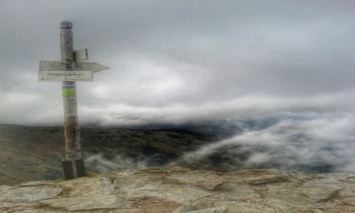 Zdjecie POLSKA / Czerwone Wierchy / Zakopane / Jarzbczy Wierch 2137m npm