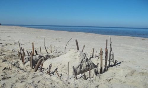 Zdjęcie POLSKA / Pomorze / Sztutowo / Zapach dzieciństwa