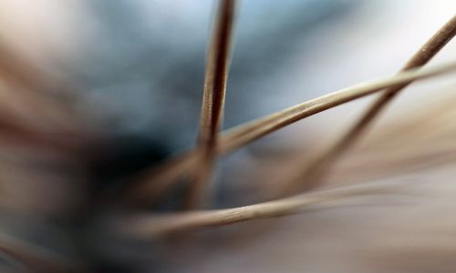 Zdjecie POLSKA / Wielkopolska / Poznań / blisko coraz bliżej 6