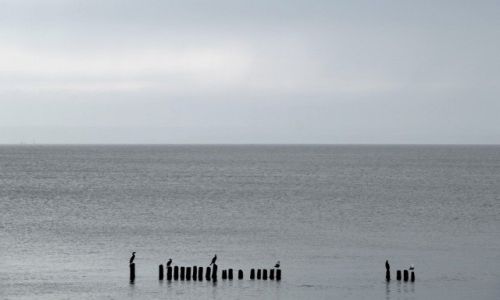 Zdjecie POLSKA / Zatoka Gdańska / Hel / Hel