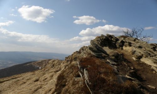Zdjcie POLSKA / BIESZCZADY / POONINA  WETLINSKA / POLONINA WETLINSKA