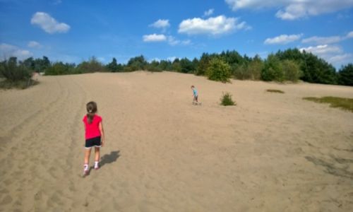 Zdjecie POLSKA / Chechło / Pustynia Błędowska / Radość i swoboda