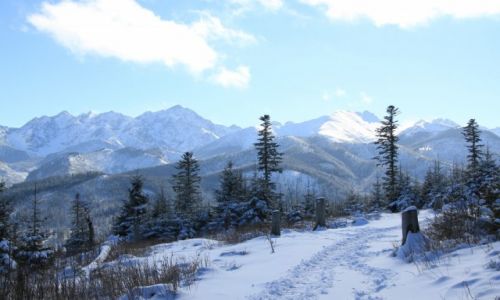 Zdjecie POLSKA / TATRY WYSOKIE / RUSINOWA POLANA  / WIDOK Z RUSINOWEJ POLANY 