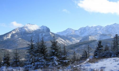 Zdjcie POLSKA / TATRY WYSOKIE / RUSINOWA POLANA  / WIDOK Z RUSINOWEJ POLANY 