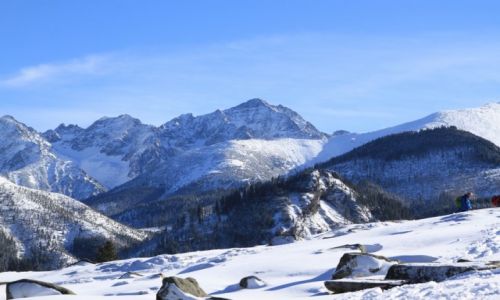Zdjcie POLSKA / TATRY WYSOKIE / RUSINOWA POLANA  / WIDOK Z RUSINOWEJ POLANY 