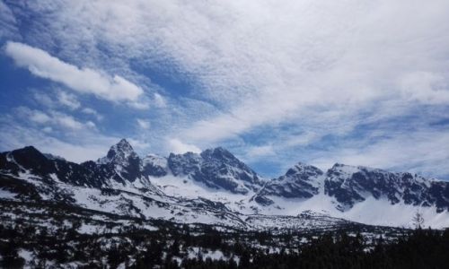 Zdjecie POLSKA / Podhale / Hala Gasienicowa / TATRY