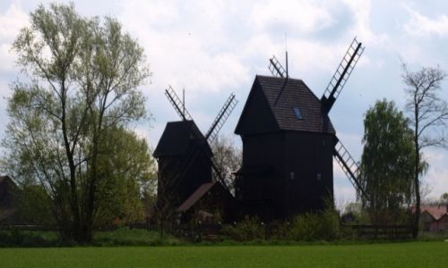 Zdjcie POLSKA / Wielkopolska / Brenno / wiatraki