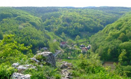Zdjecie POLSKA / Jura Krakowsko Czstochowska / Dolina Bdkowska  / Na jurajskim szlaku 