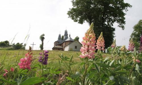 Zdjcie POLSKA / PODKARPACIE  / SIEMUSZOWA  / II Szlak Architektury Drewnianej 