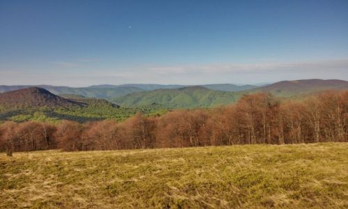 Zdjecie POLSKA / bieszczady / gdzie na szlaku / hmmm Bieszczady....