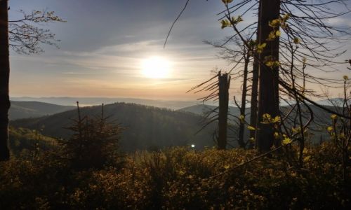 Zdjecie POLSKA / beskid ywiecki / okolice baraniej gry / w drodze na barani